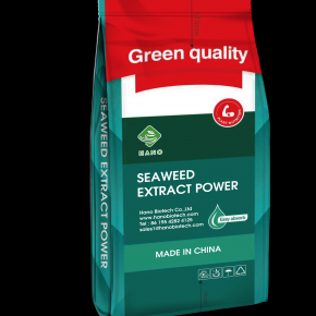 SEAWEED EXTRACT